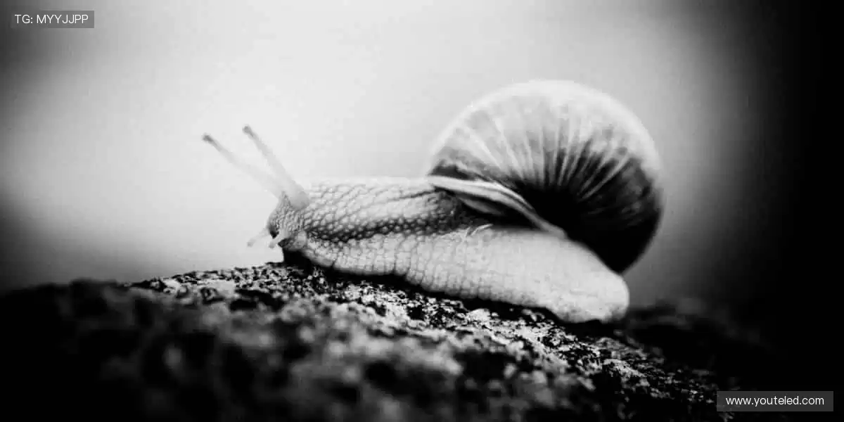 🏅赛事报名，开启你的冠军之路！